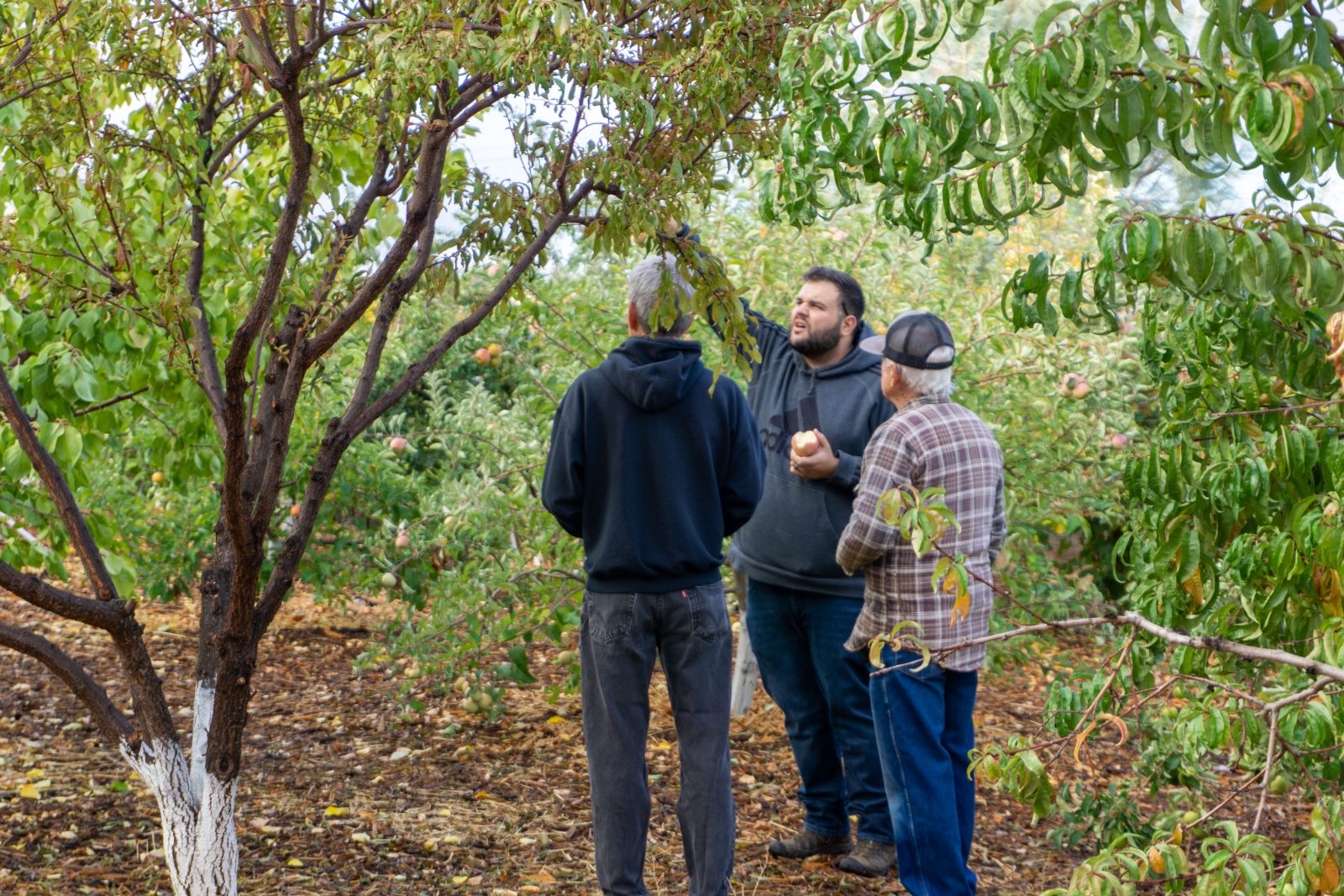 What Is Conservation Technical Assistance CTA Placer Resource 