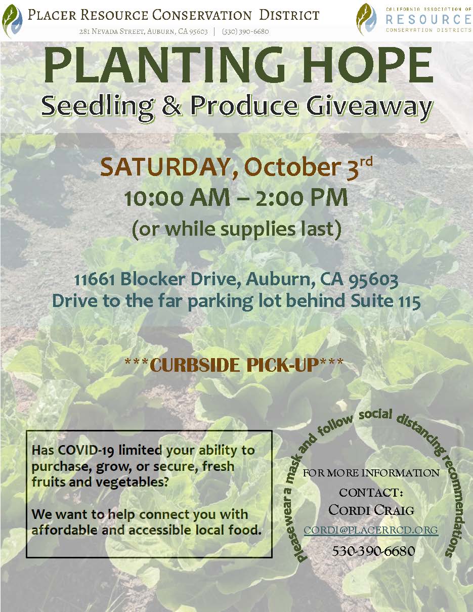Planting Hope Giveaway Flyer.
