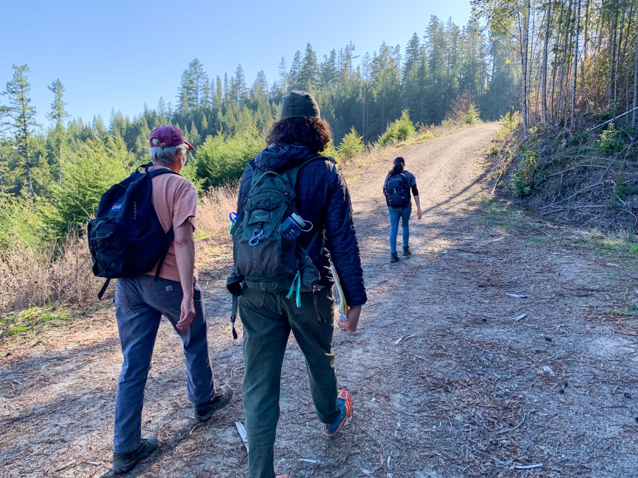 Four people walking and talking on a gravel road in a forest.