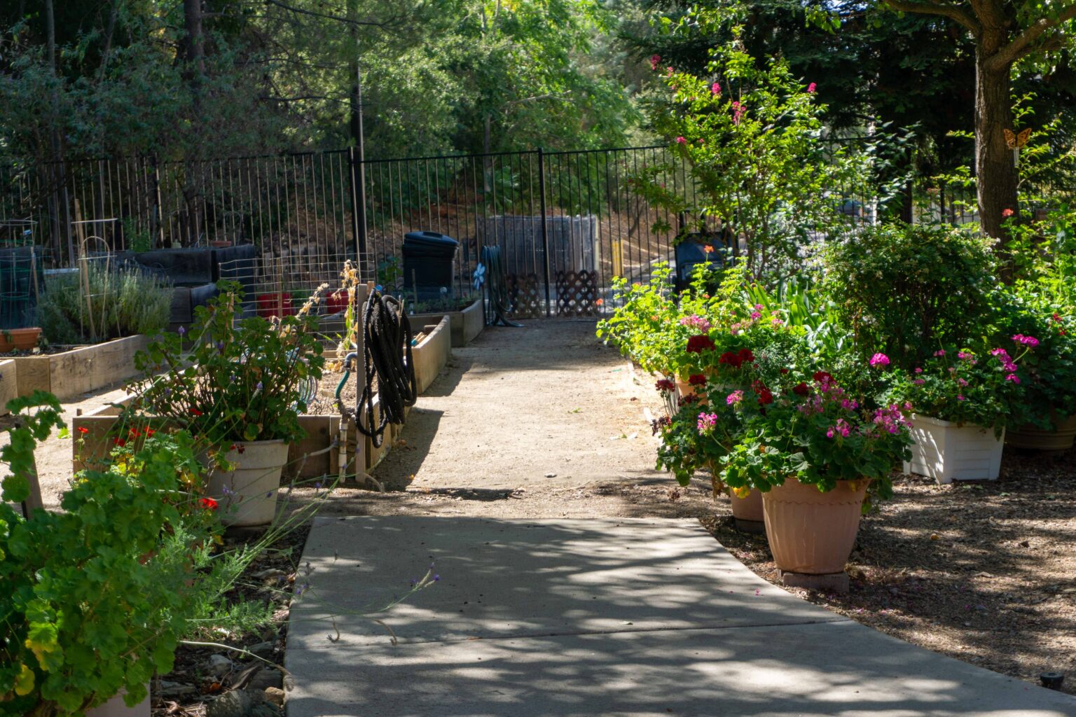 Curated visual reference: Visual Reference: 2021 Placer County Community Gardens Review