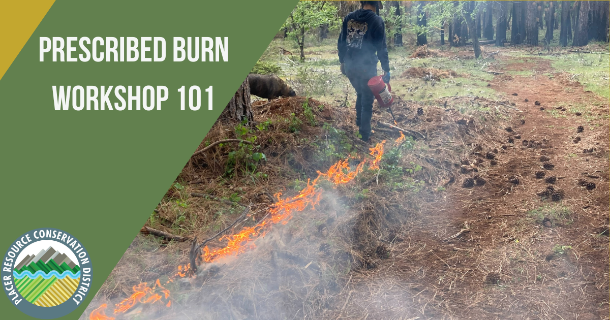 Prescribed Burn 101 Applegate Placer Resource Conservation