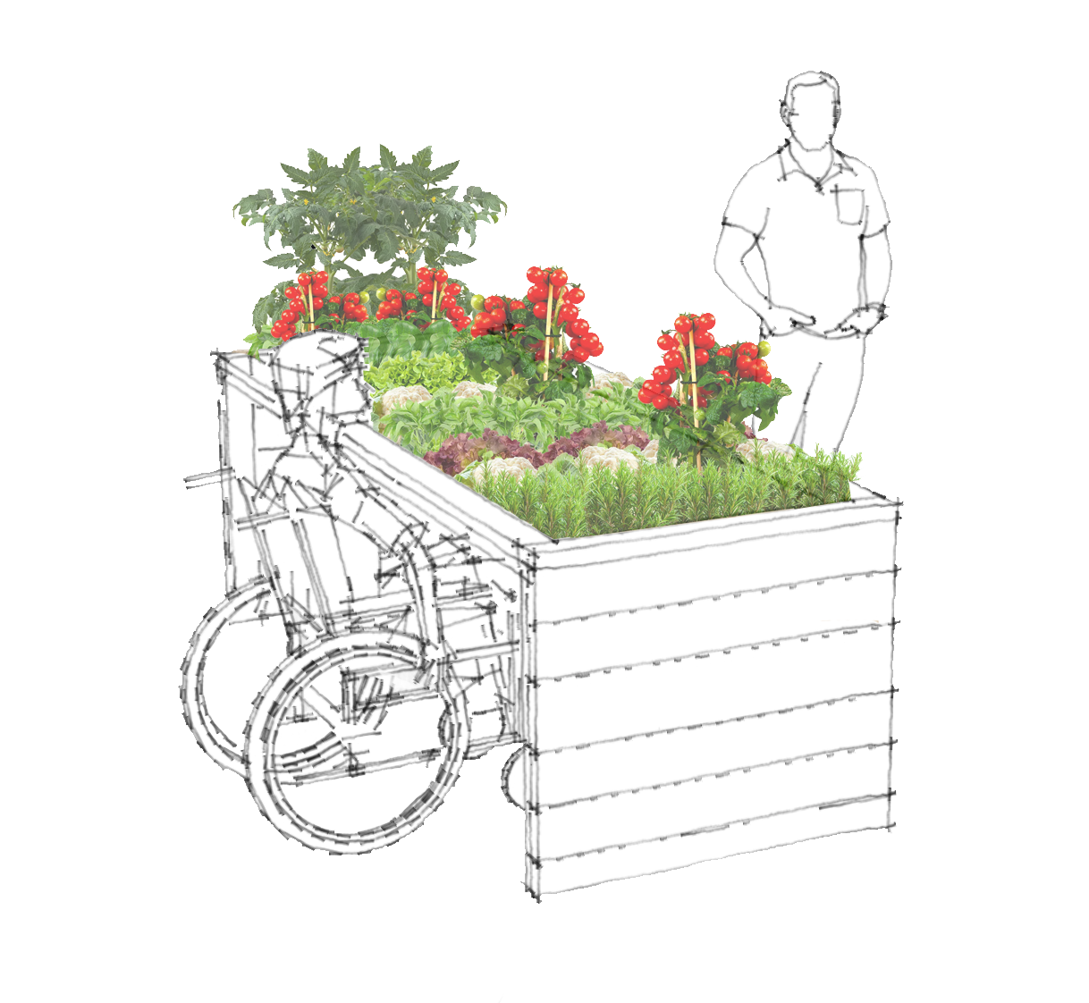 An illustration of an accessible raided garden bed.