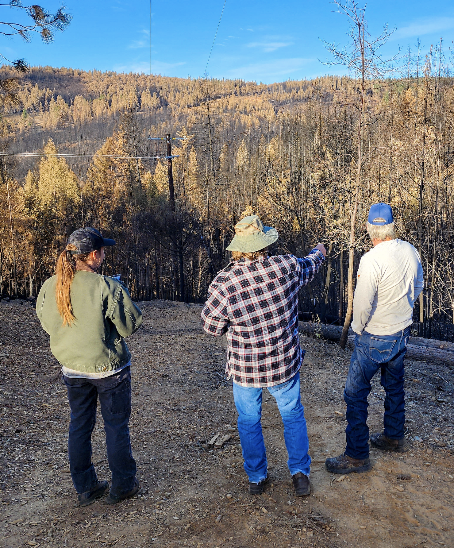 Three people look out over burned forested hillside with blue sky in the background.