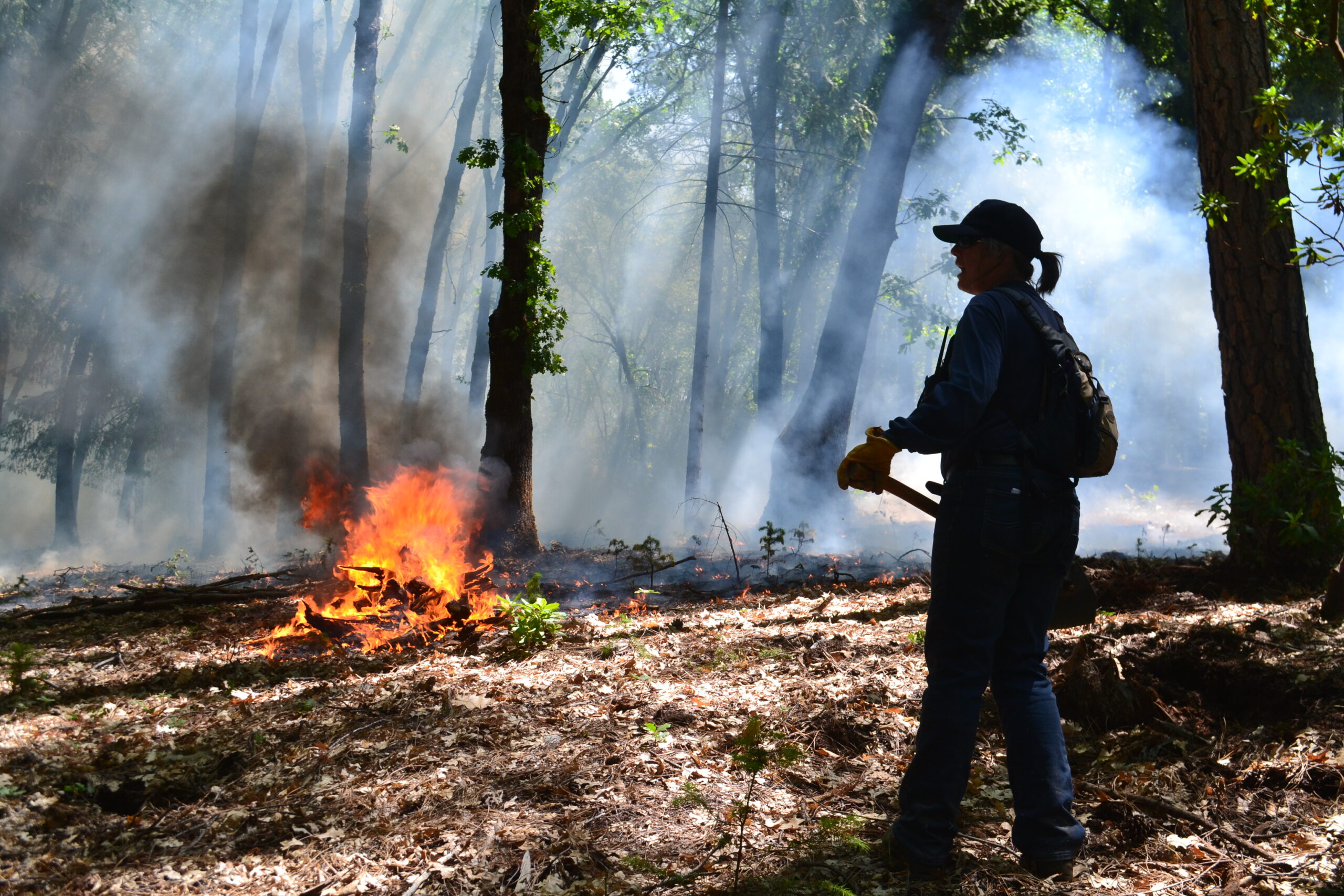 Jo Ann Fires of Nevada County RCD at a prescribed burn