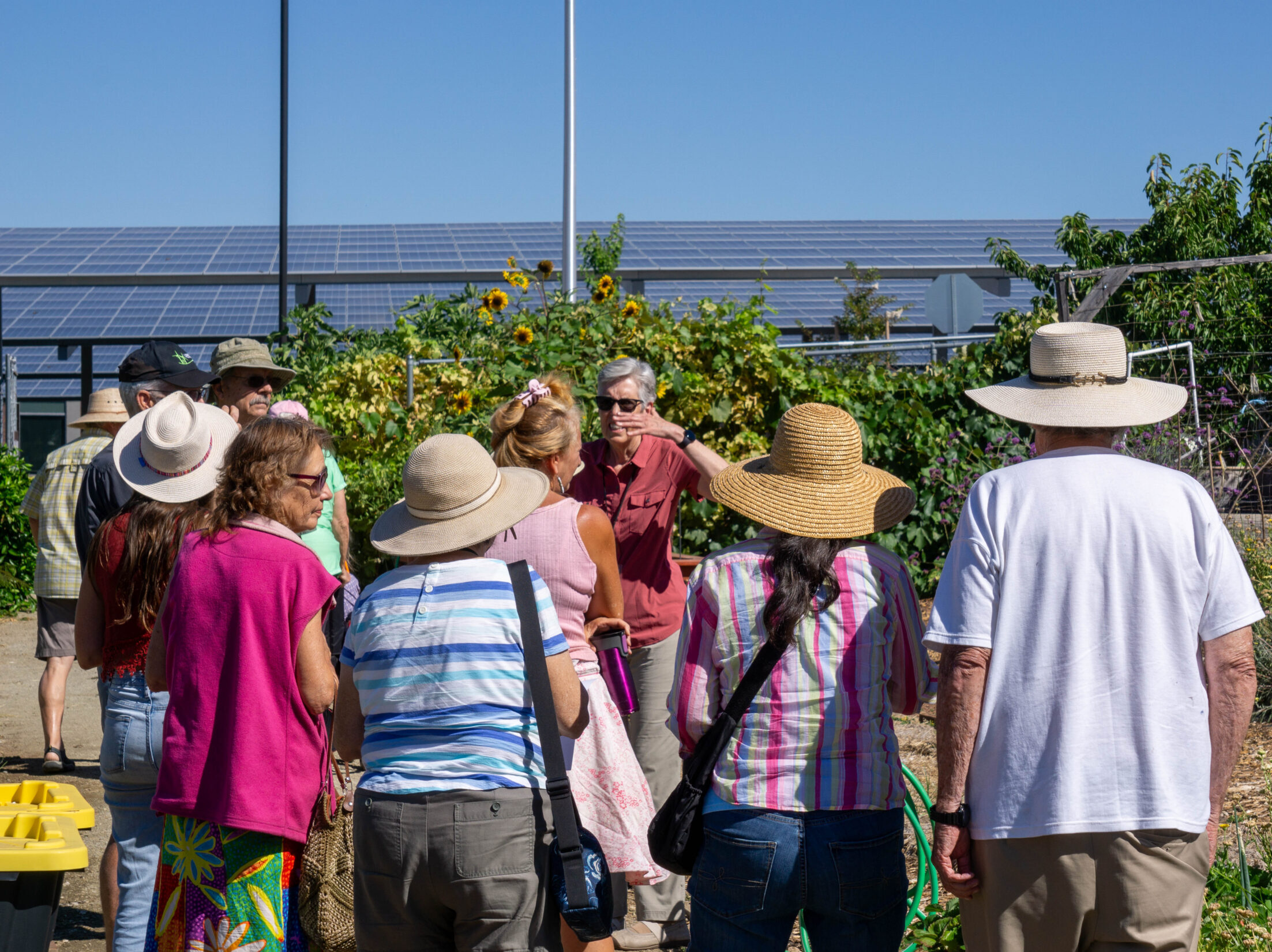 People standing in a garden listening to a presenter.