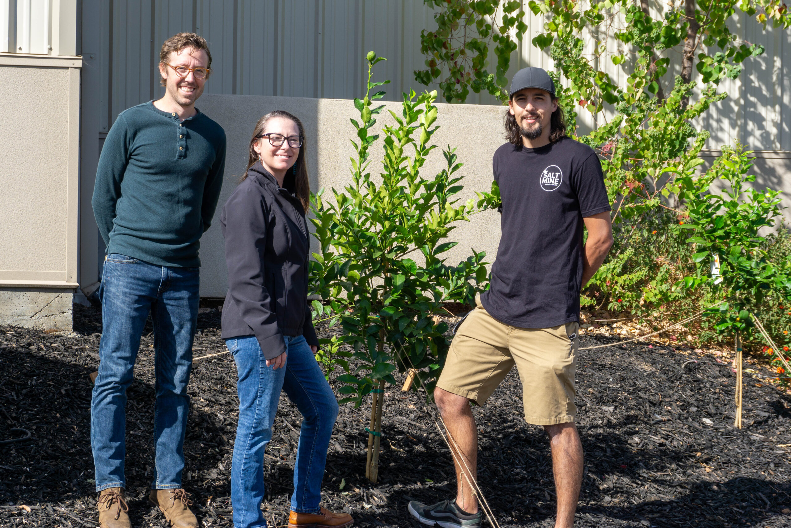 Three people looking at the camera while standing around a tree.