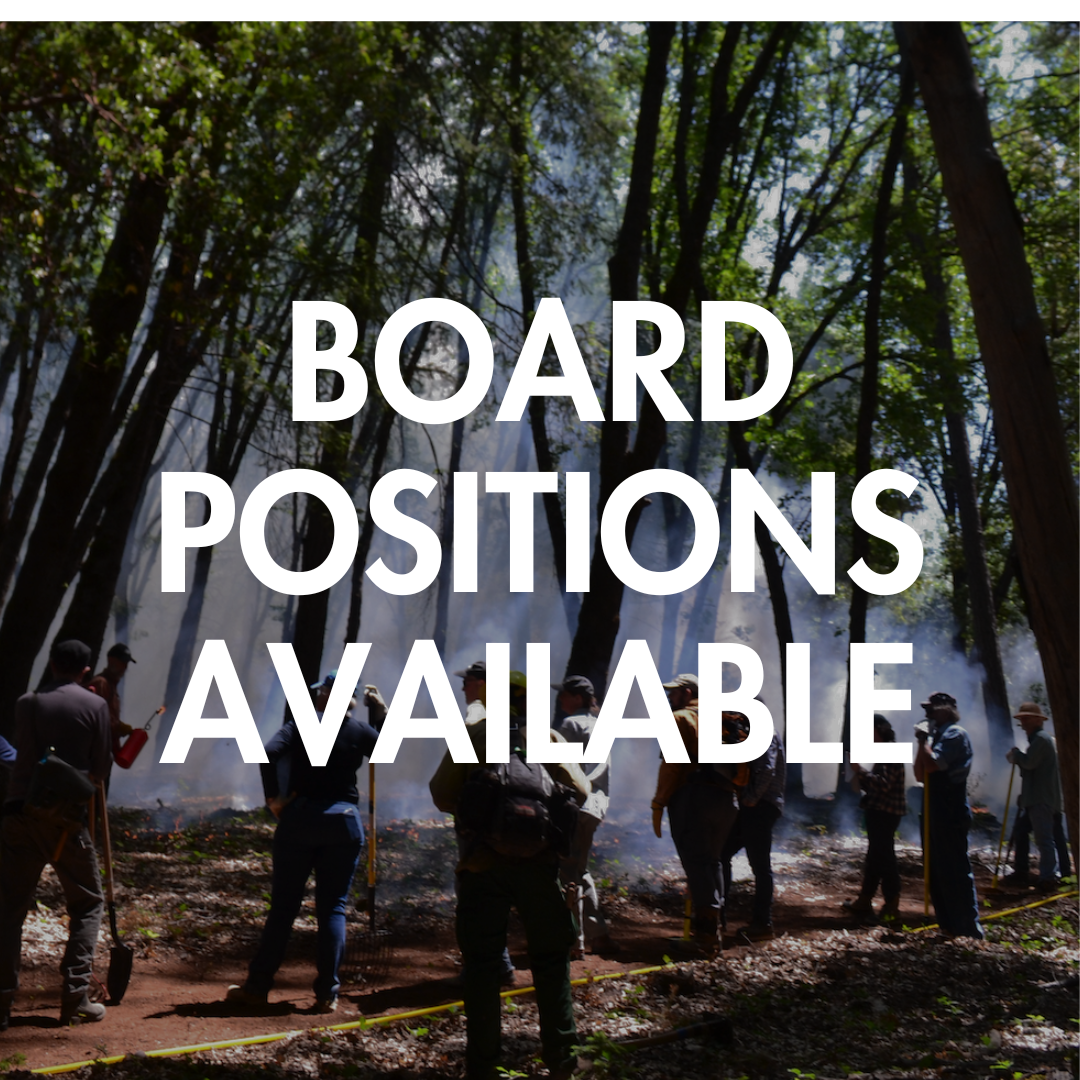 Text reads "board seats available" over a darkened background of a group of people holding tools and watching a prescribed burn take place.